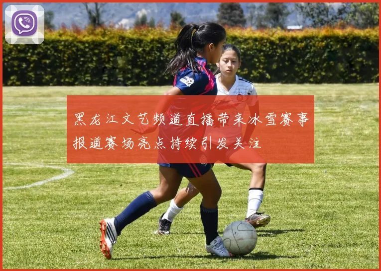 黑龙江文艺频道直播带来冰雪赛事报道赛场亮点持续引发关注