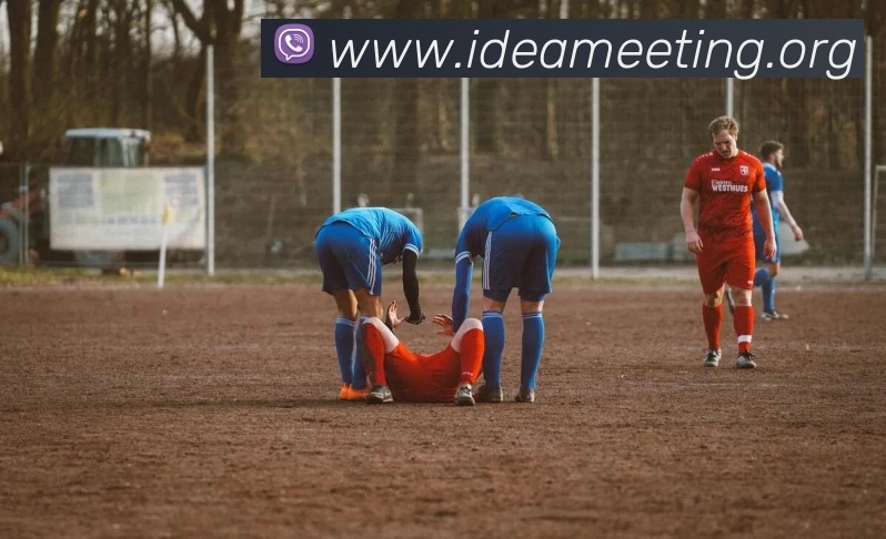 多媒体互动体验